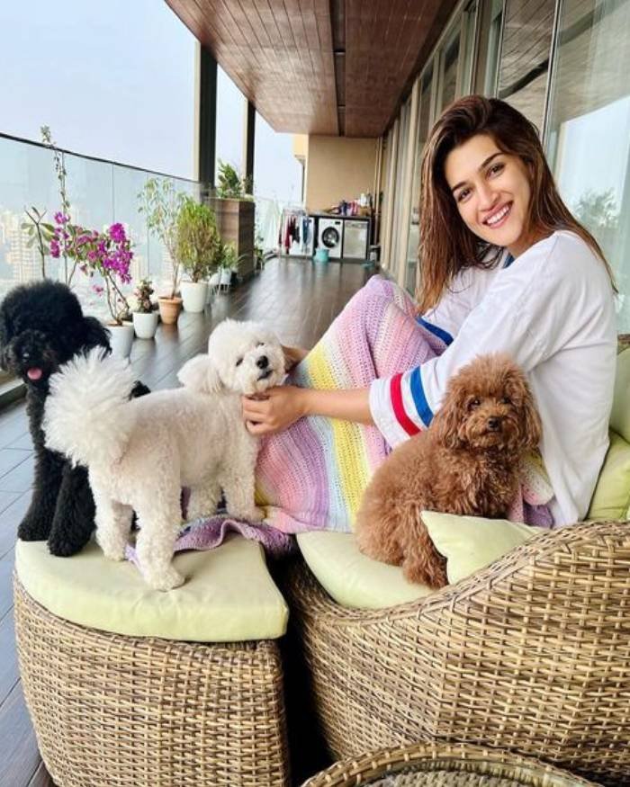 kriti sanon_teluguvox 8
